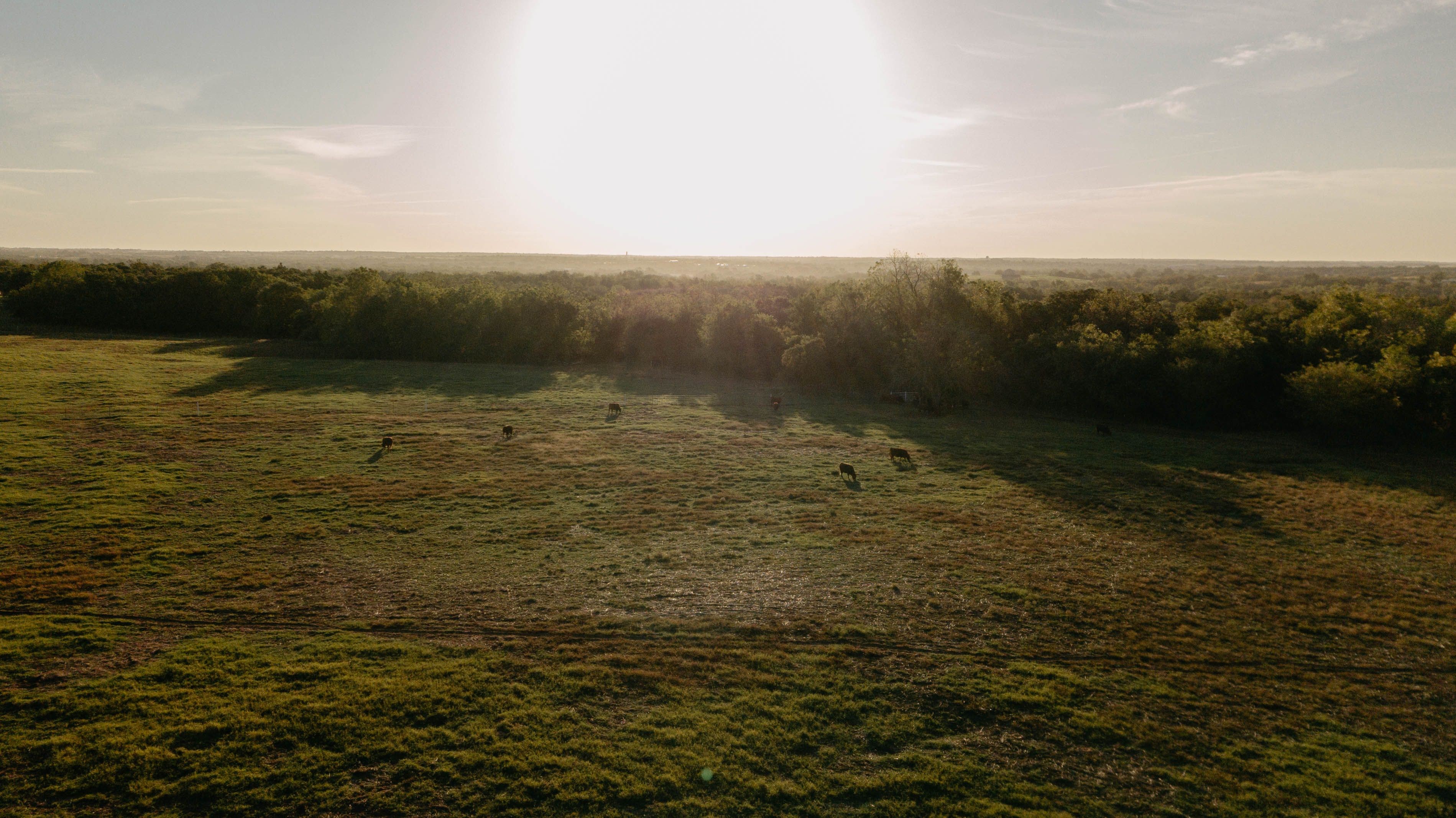 O*l様 Butcher ProductS Meat Market in OKC | Pasture-Raised Beef & Pork | 74C Meat Co.