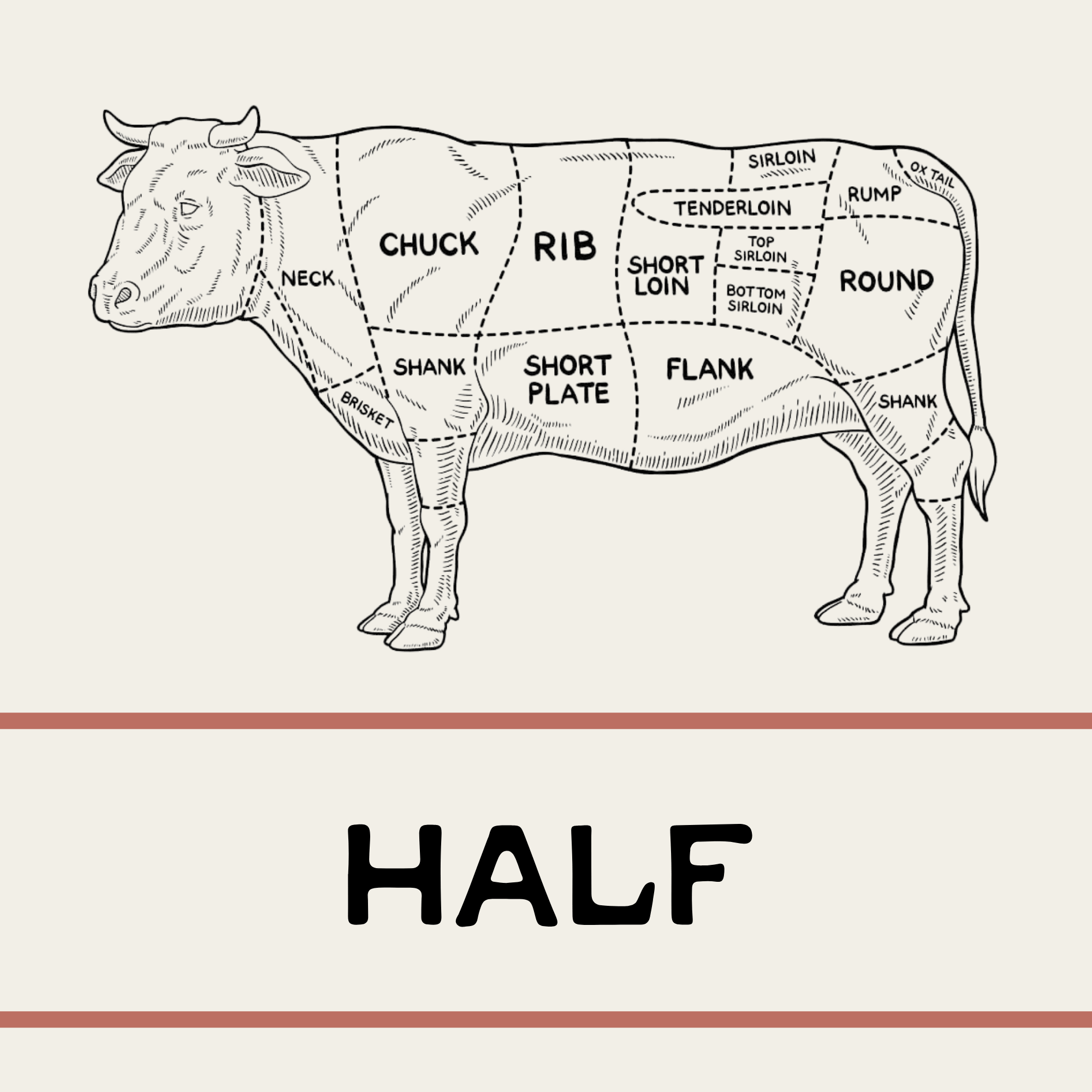 Half Beef - Pasture-Raised Beef - 74C Meat Co. OKC