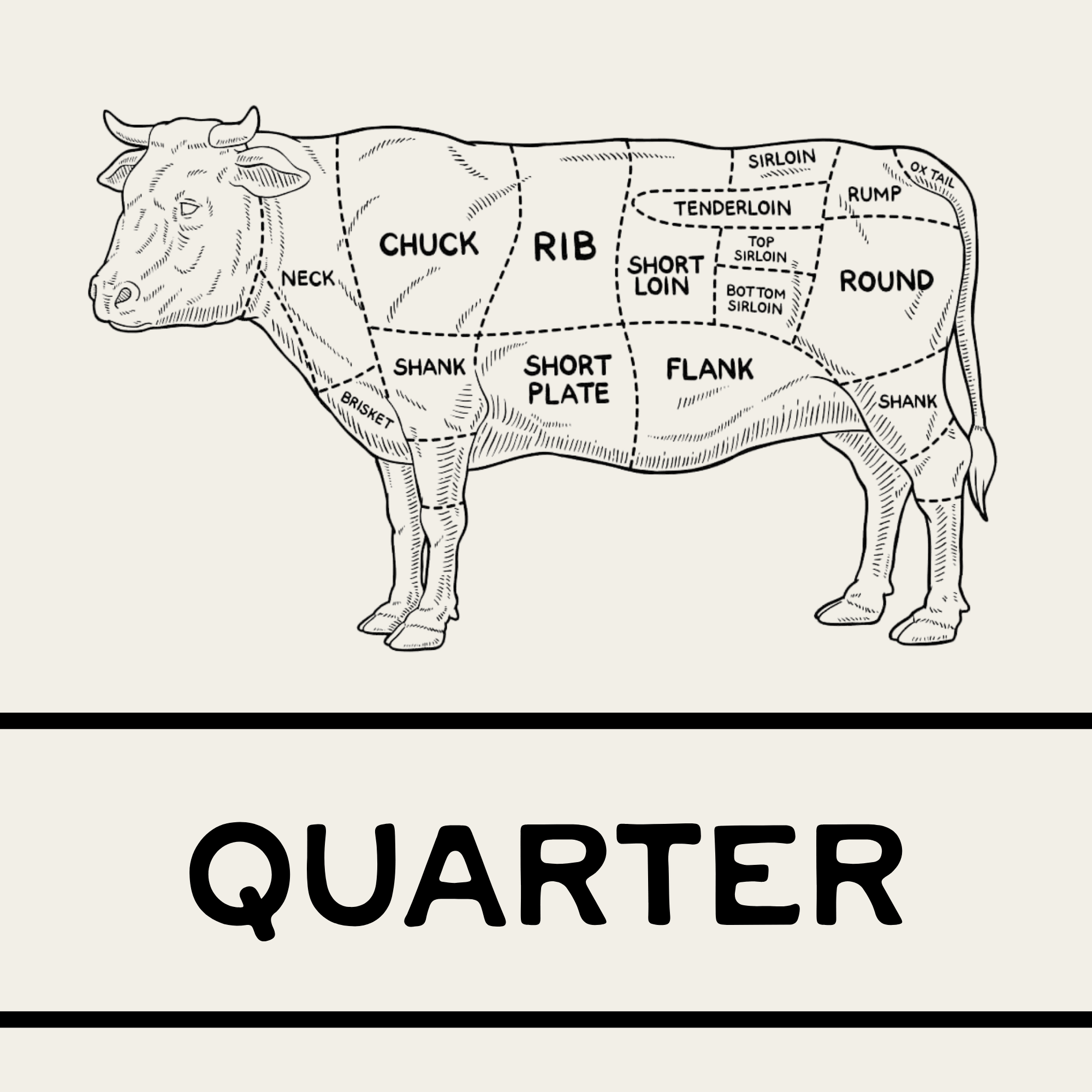 Quarter Beef - Pasture-Raised Beef - 74C Meat Co. OKC
